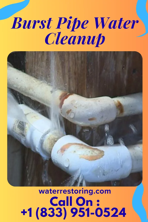 Burst Pipe Water Cleanup in Deer Park, OH