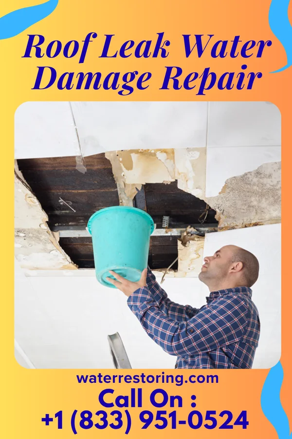 Roof Leak Water Damage Repair in Deer Park, OH