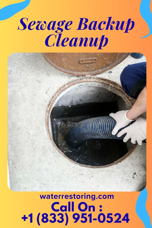 Sewage Backup Cleanup in Deer Park, OH