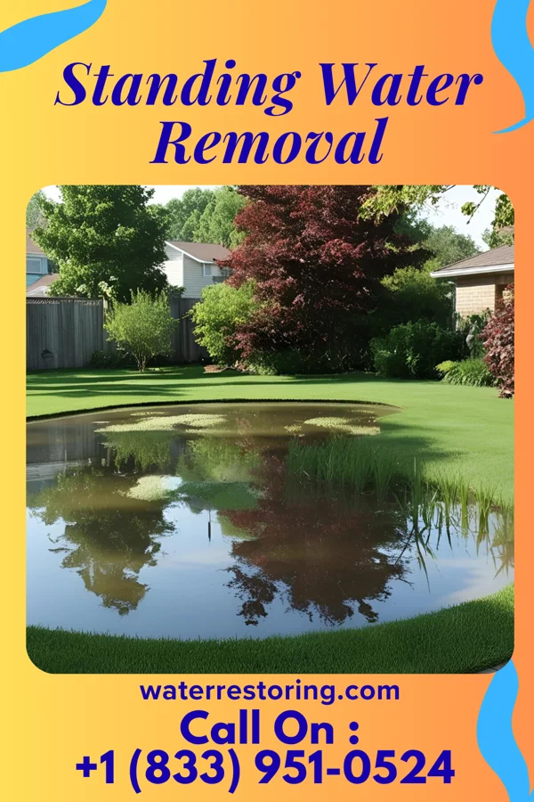 Standing Water Removal in Deer Park, OH